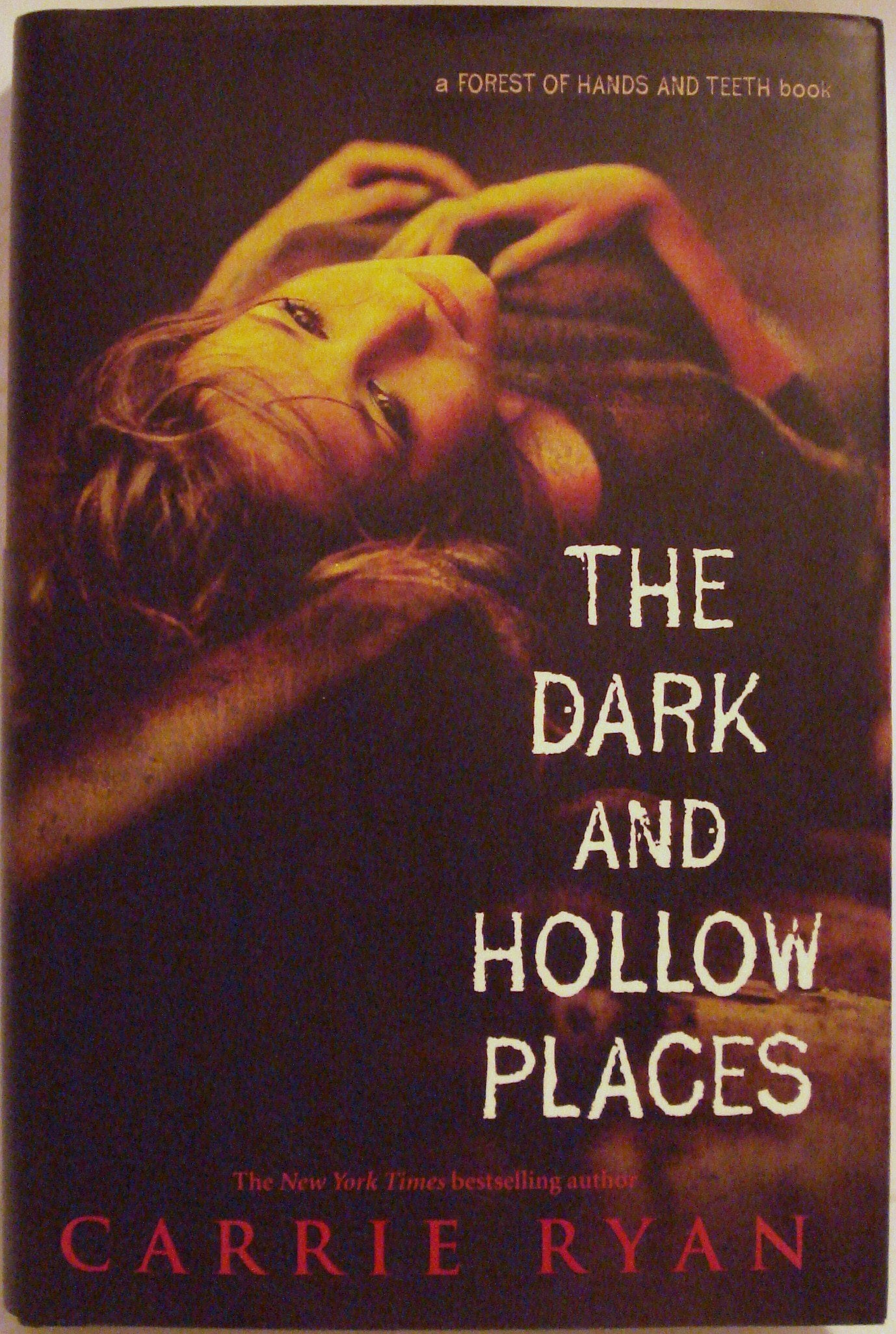 The Dark and Hollow Places (Forest of Hands and Teeth, 3) Horror & Mystery