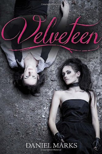 Velveteen Fiction