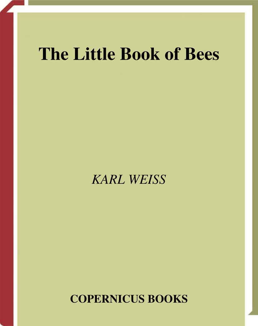 The Little Book of bees (Little Book Series) Medicine