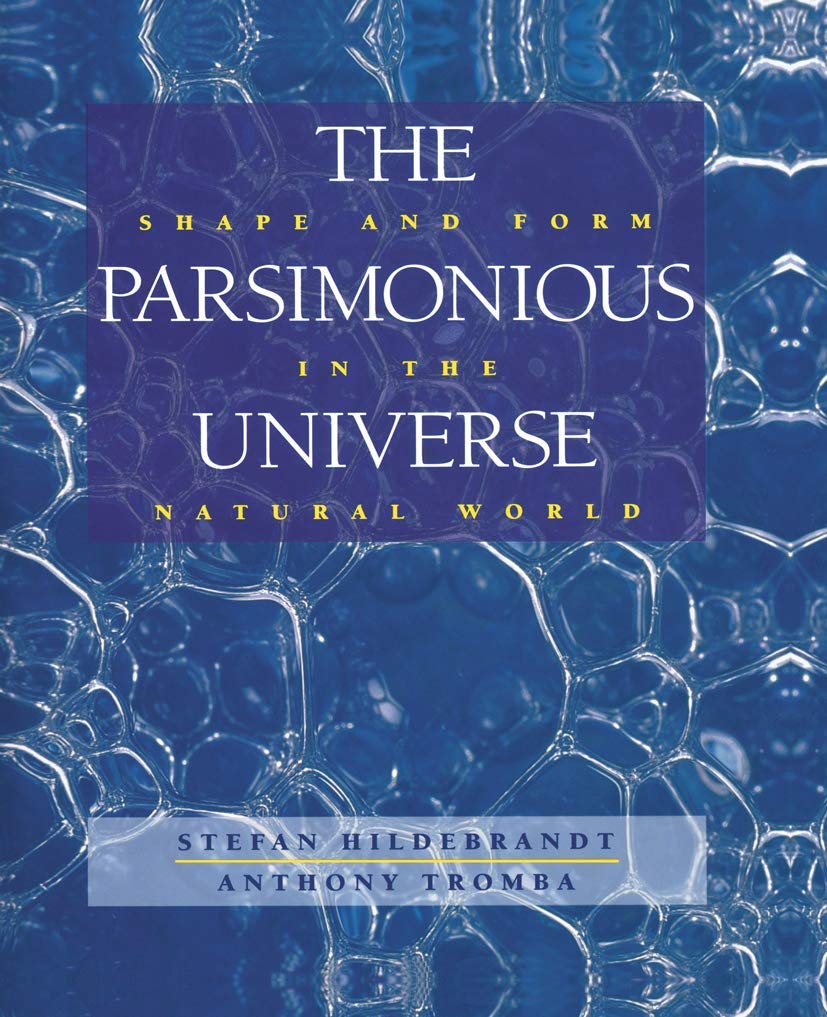 The Parsimonious Universe: Shape and Form in the Natural World Mathematics
