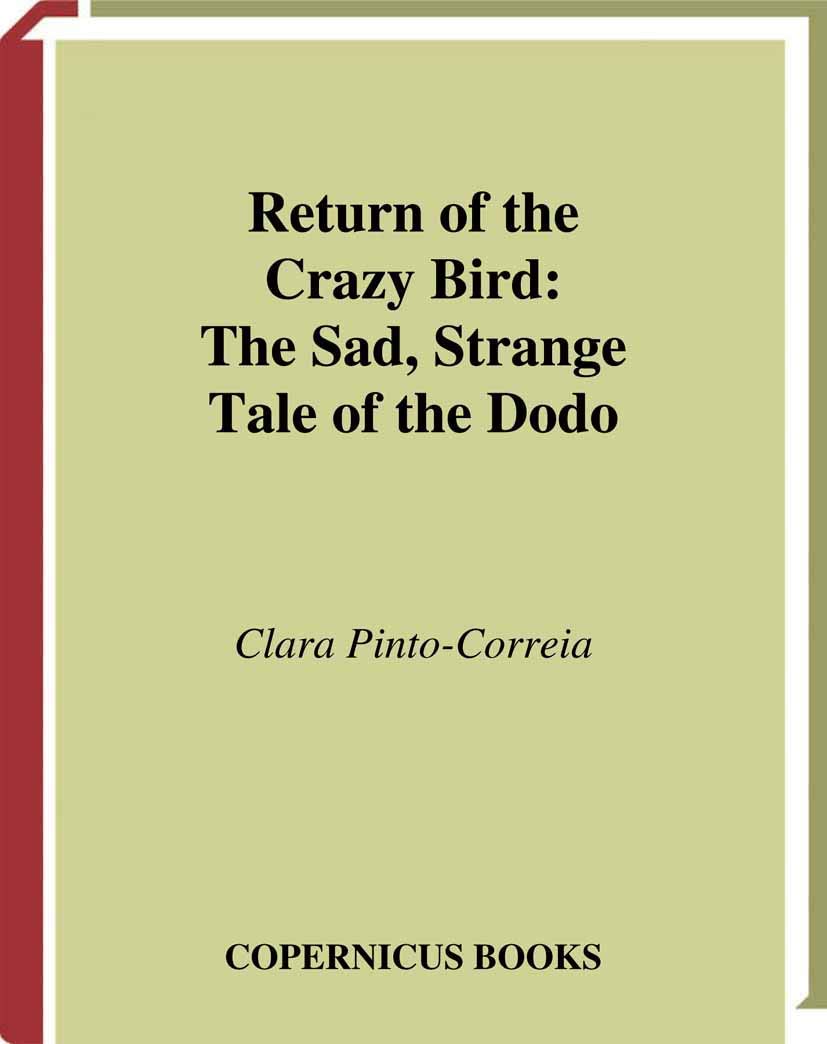 Return of the Crazy Bird Law