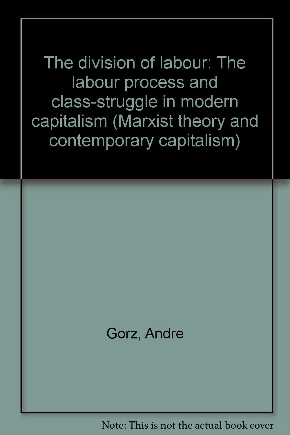 The division of labour: The labour process and class-struggle in modern capitalism (Marxist theory and contemporary capitalism) Books