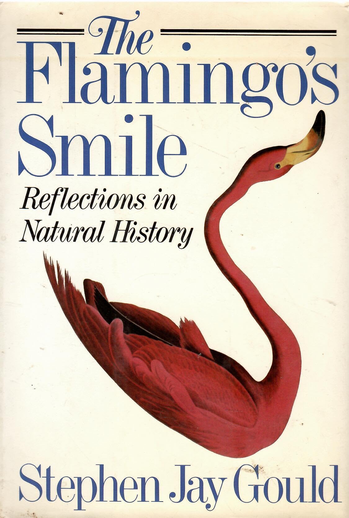 The Flamingo's Smile: Reflections in Natural History Mathematics