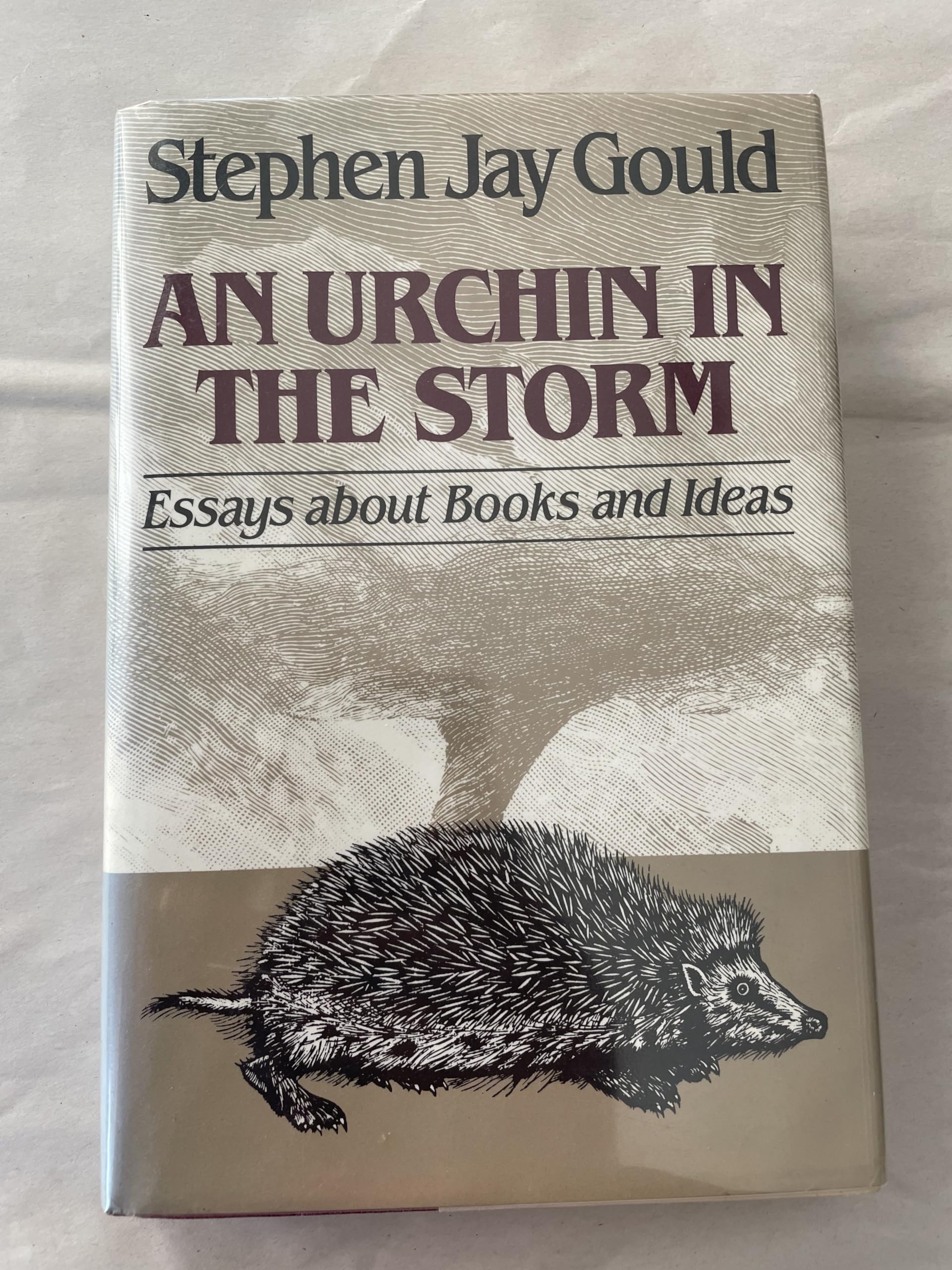 An Urchin in the Storm: Essays About Books and Ideas Contemporary literature