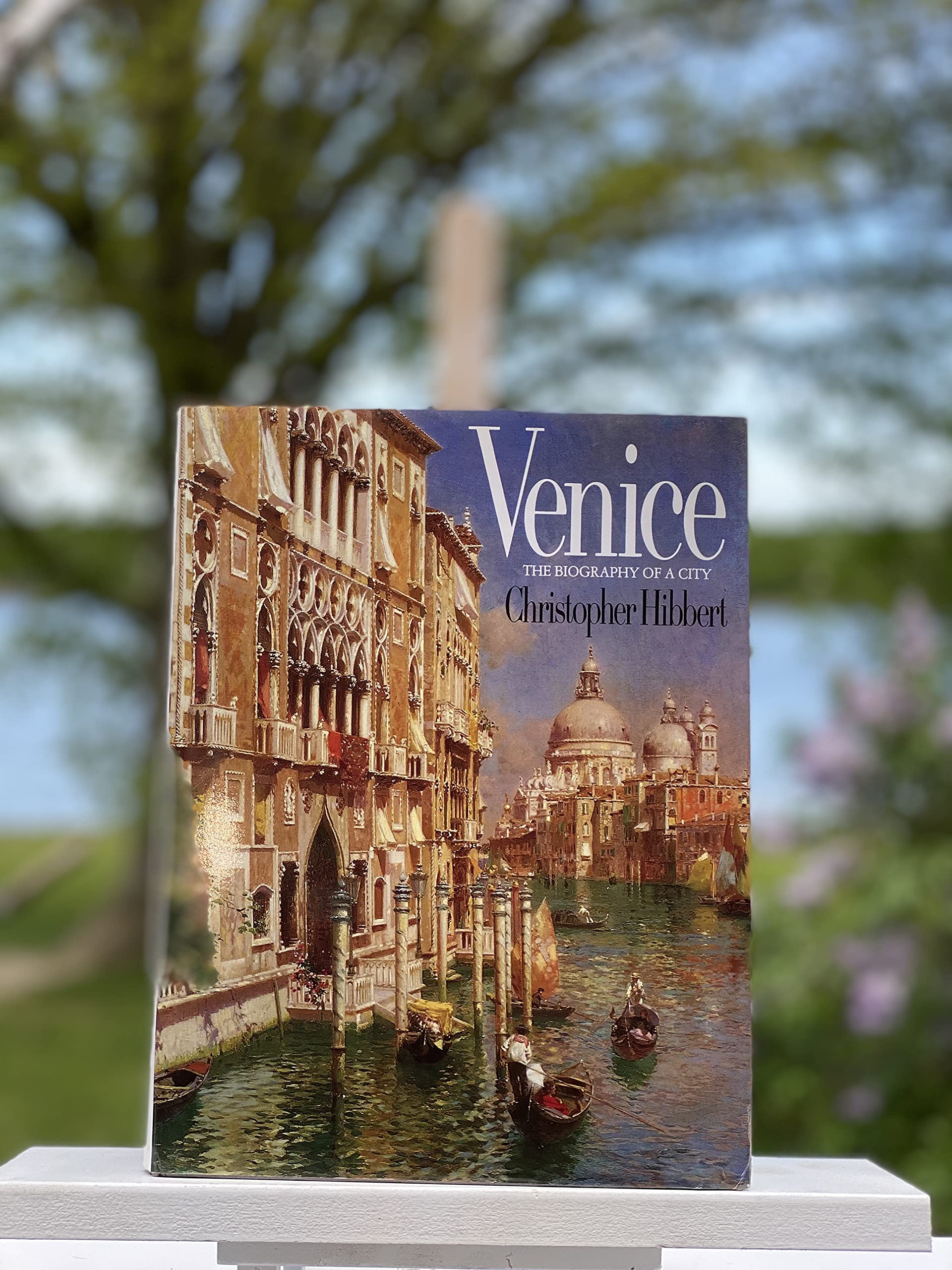 Venice: The Biography of a City book