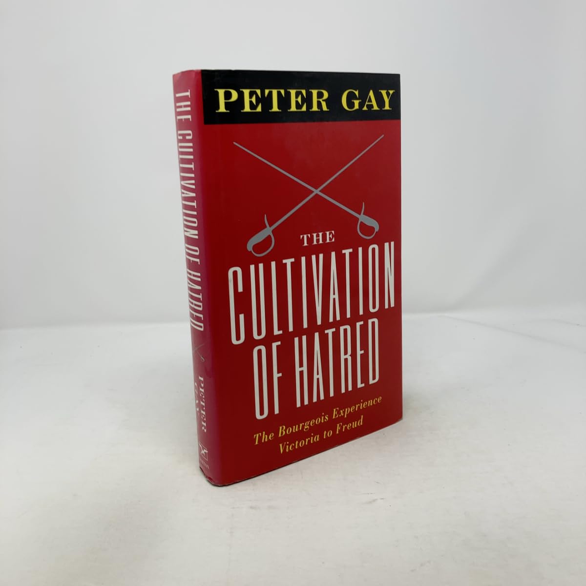 The Cultivation of Hatred (Bourgeois Experience, Band 0) Politics & History