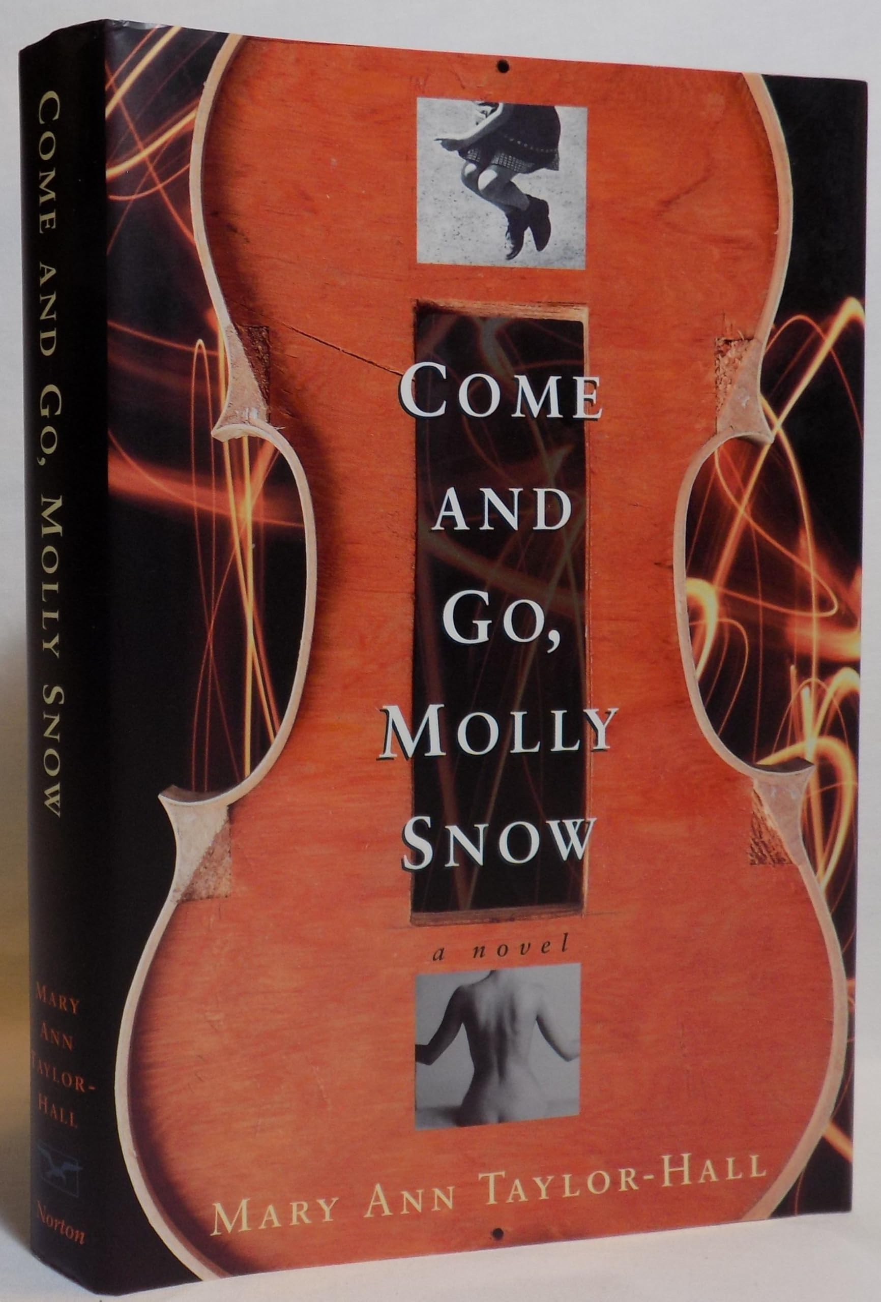 Come and Go, Molly Snow: A Novel book
