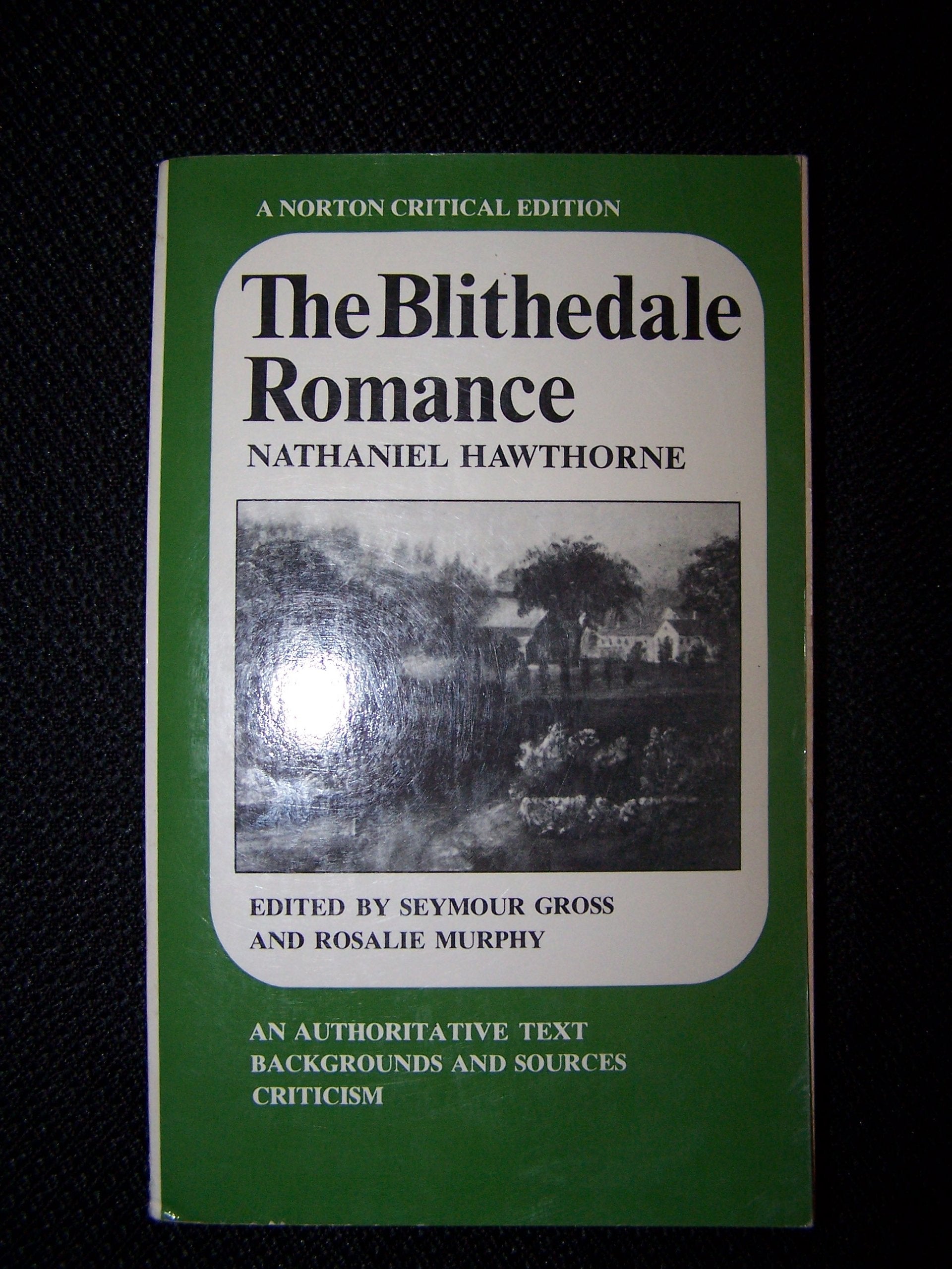 The Blithedale romance: An authoritative text, backgrounds and sources, criticism (A Norton critical edition) Books