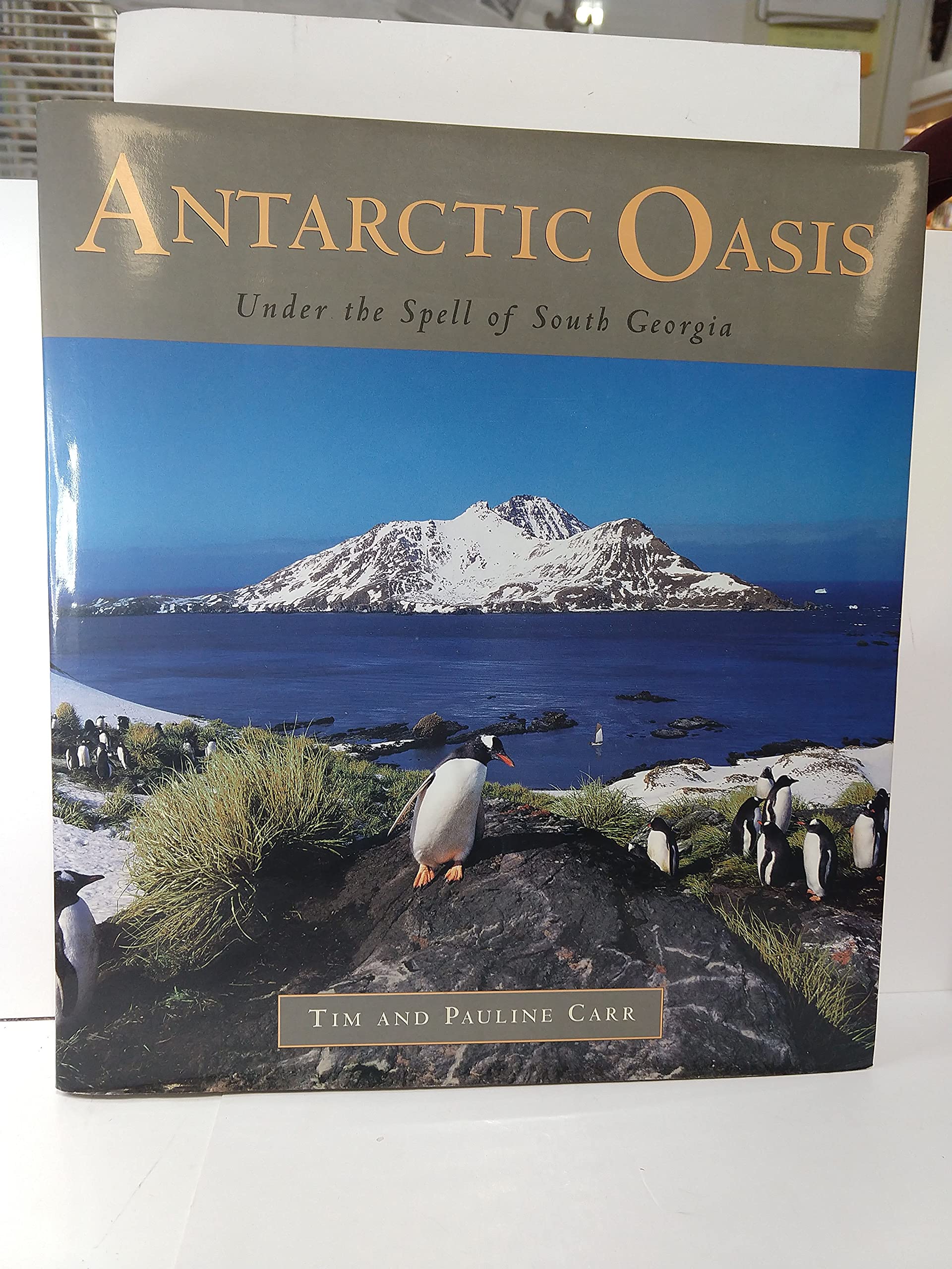 Antarctic Oasis: Under the Spell of South Georgia Mathematics
