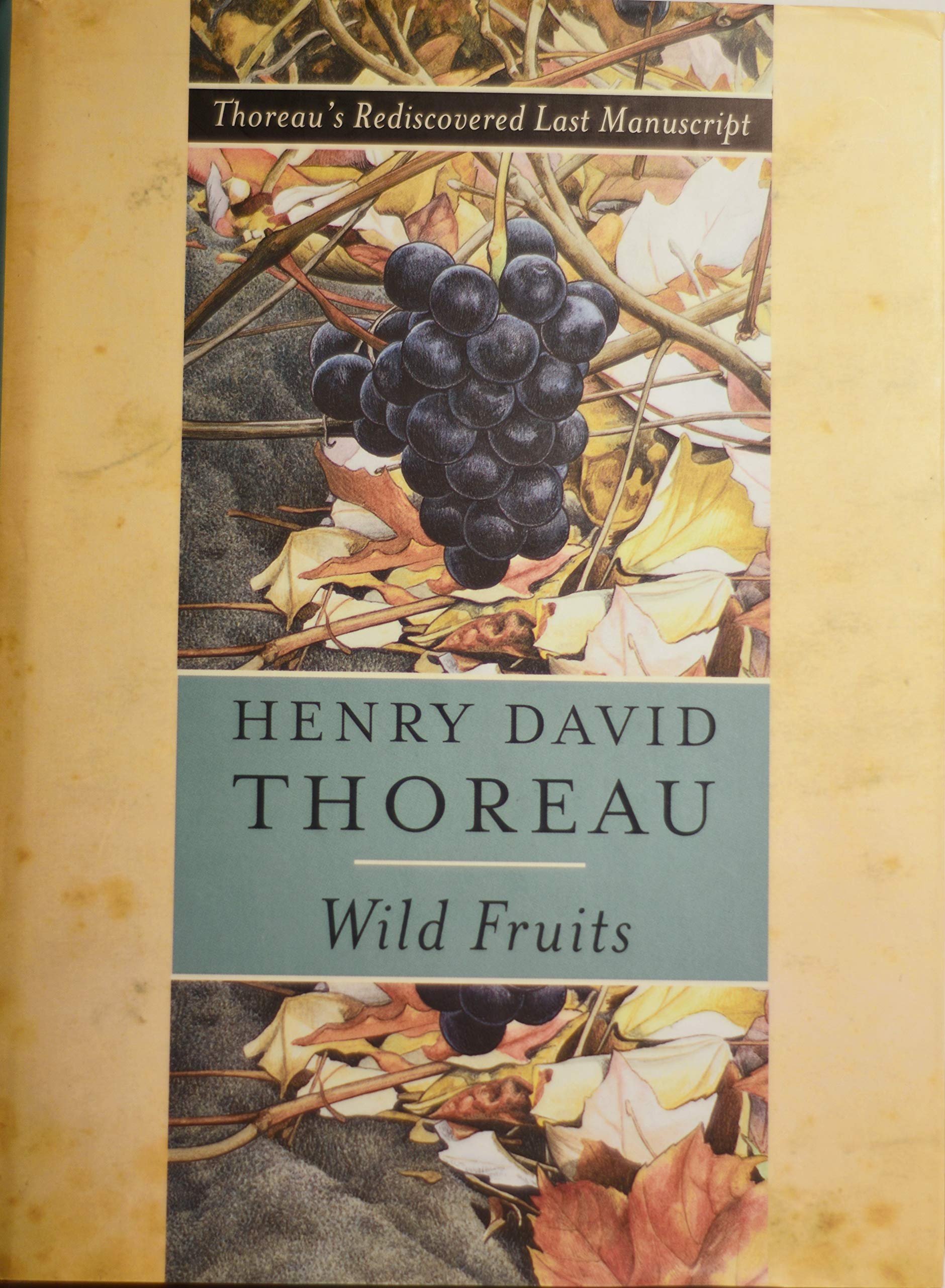 Wild Fruits - Thoreau's Rediscovered Last Manuscript: Thoreau's Rediscovered Last Manuscript Poetry
