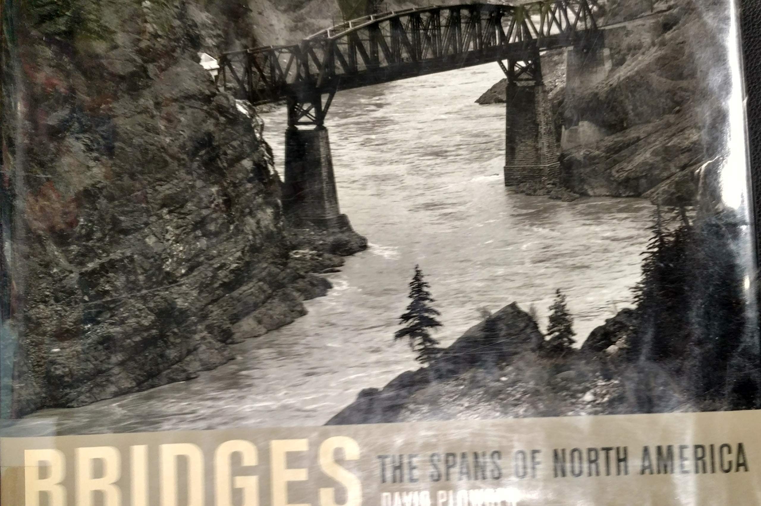 Bridges: The Spans of North America (Norton Professional Books for Architects & Designers) Arts & Music