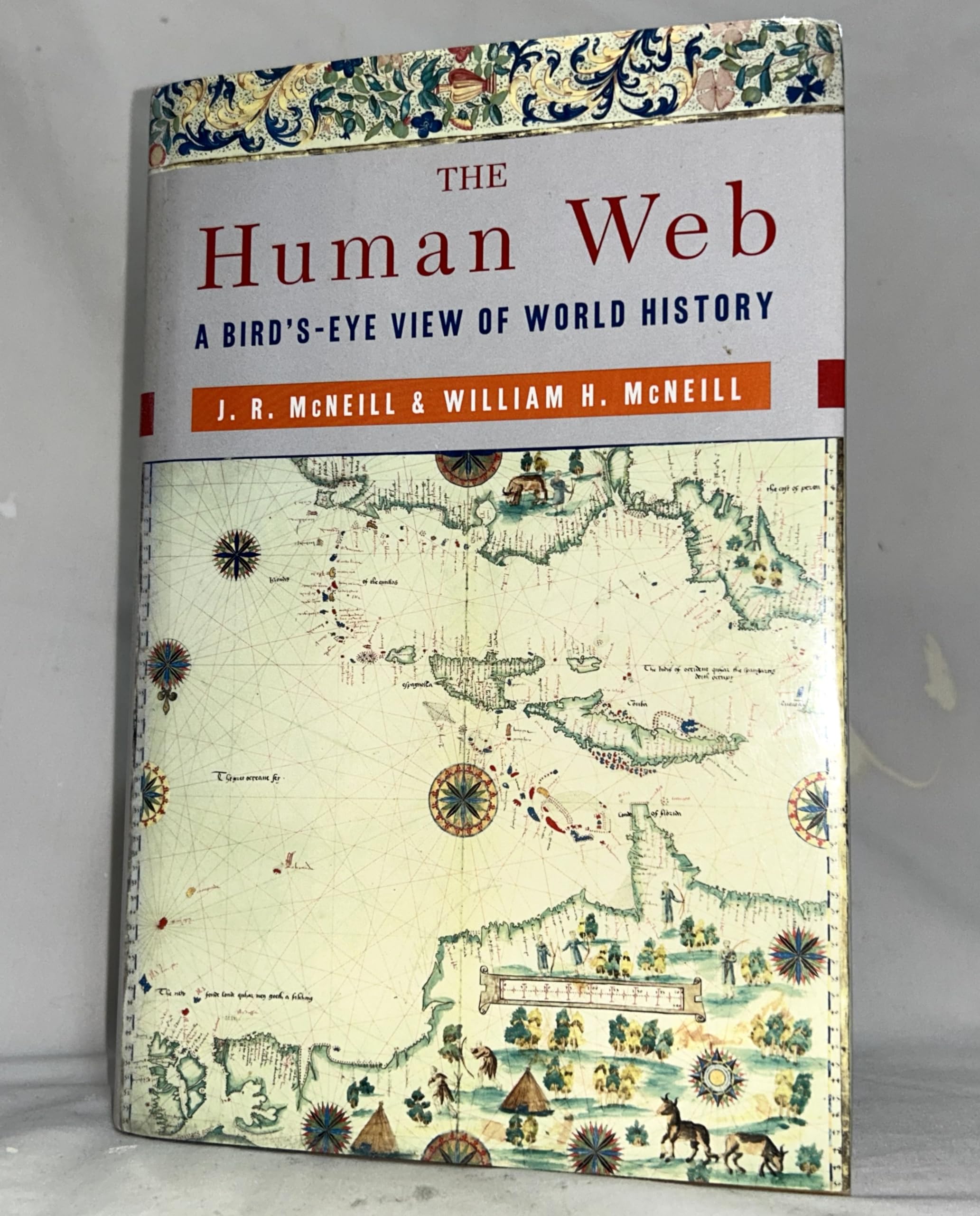 The Human Web: A Bird'S-Eye View of World History book