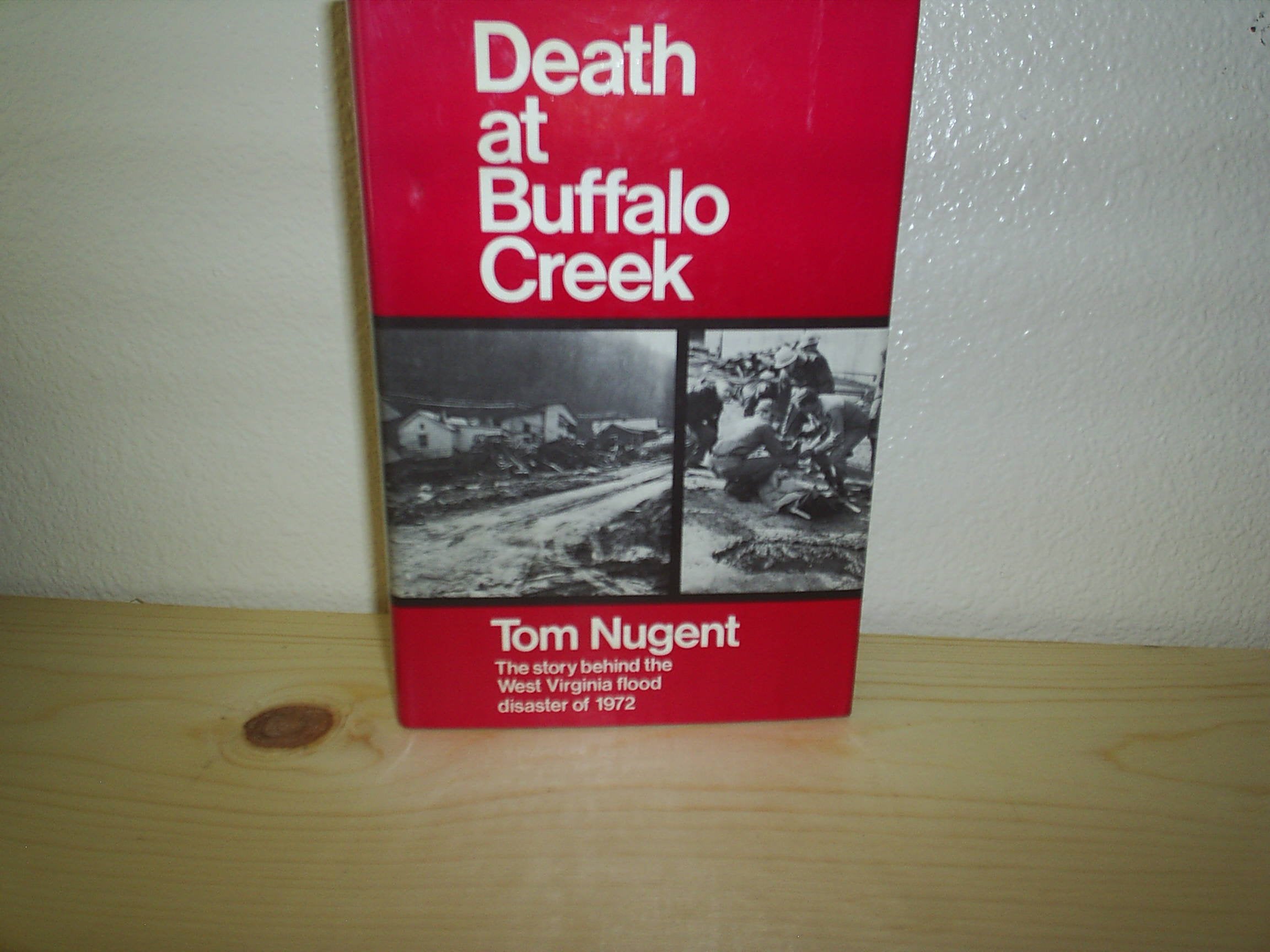 Death at Buffalo Creek: The 1972 West Virginia Flood Disaster Books