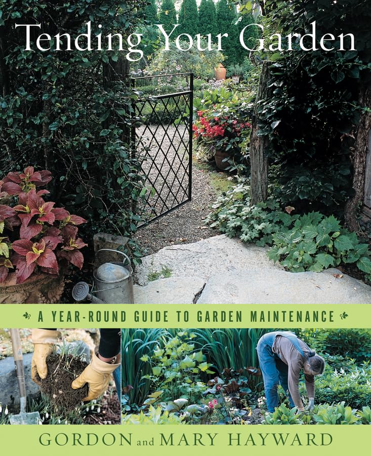 Tending Your Garden: A Year-Round Guide to Garden Maintenance Garden & Plants