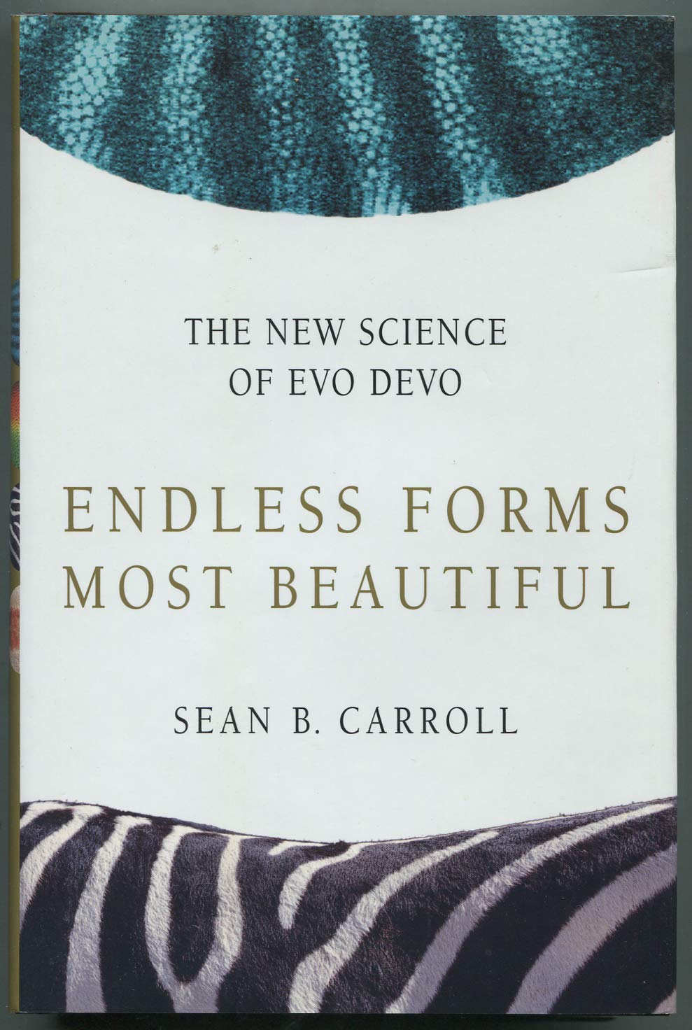 Endless Forms Most Beautiful: The New Science of Evo Devo and the Making of the Animal Kingdom Natural Sciences