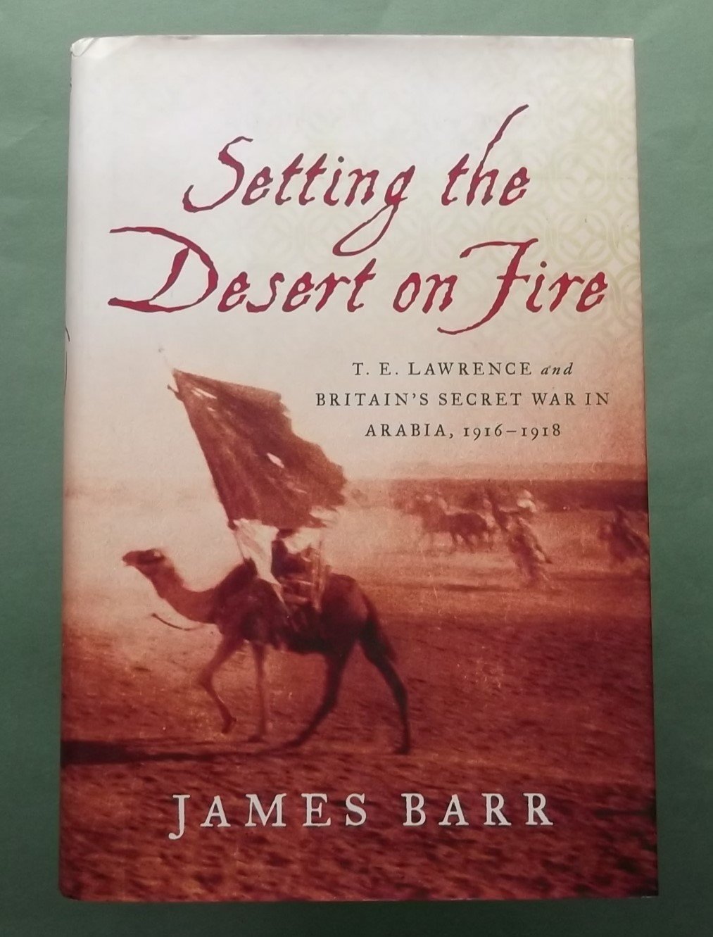 Setting the Desert on Fire: T. E. Lawrence and Britain's Secret War in Arabia, 1916-1918 book