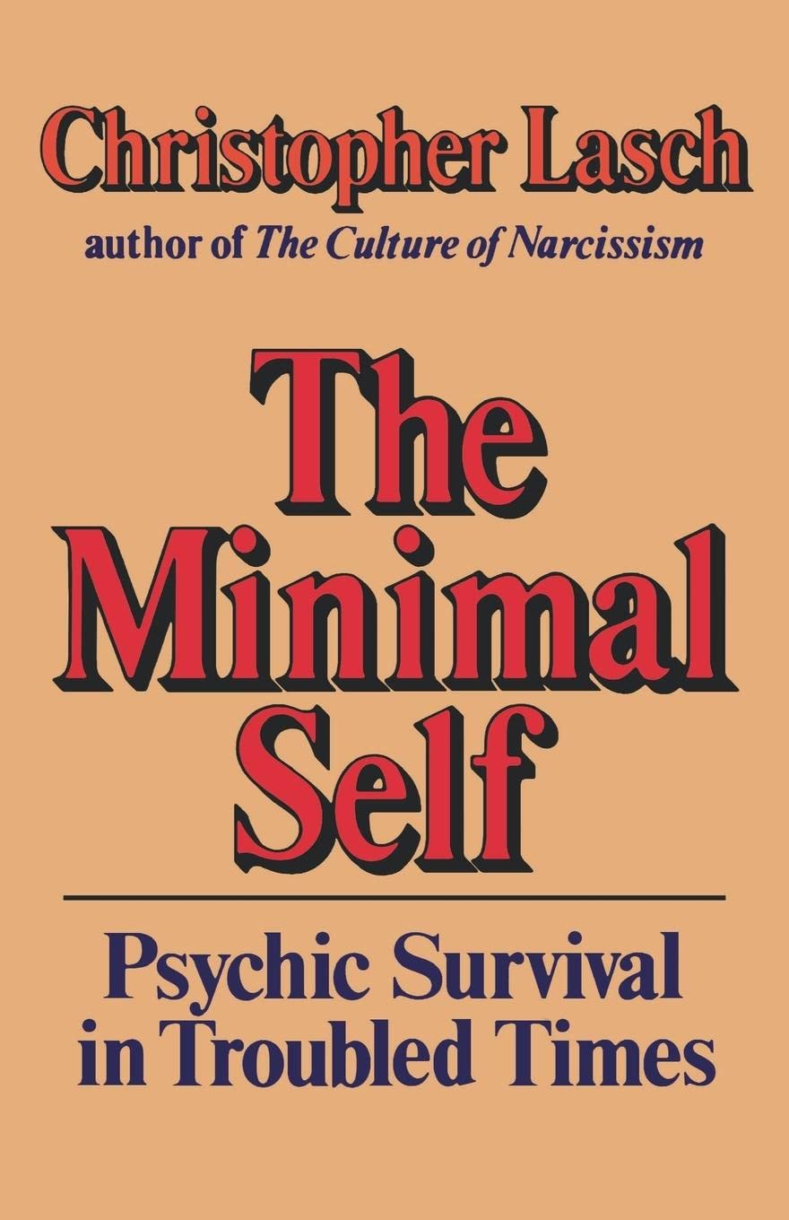 The Minimal Self: Psychic Survival in Troubled Times book