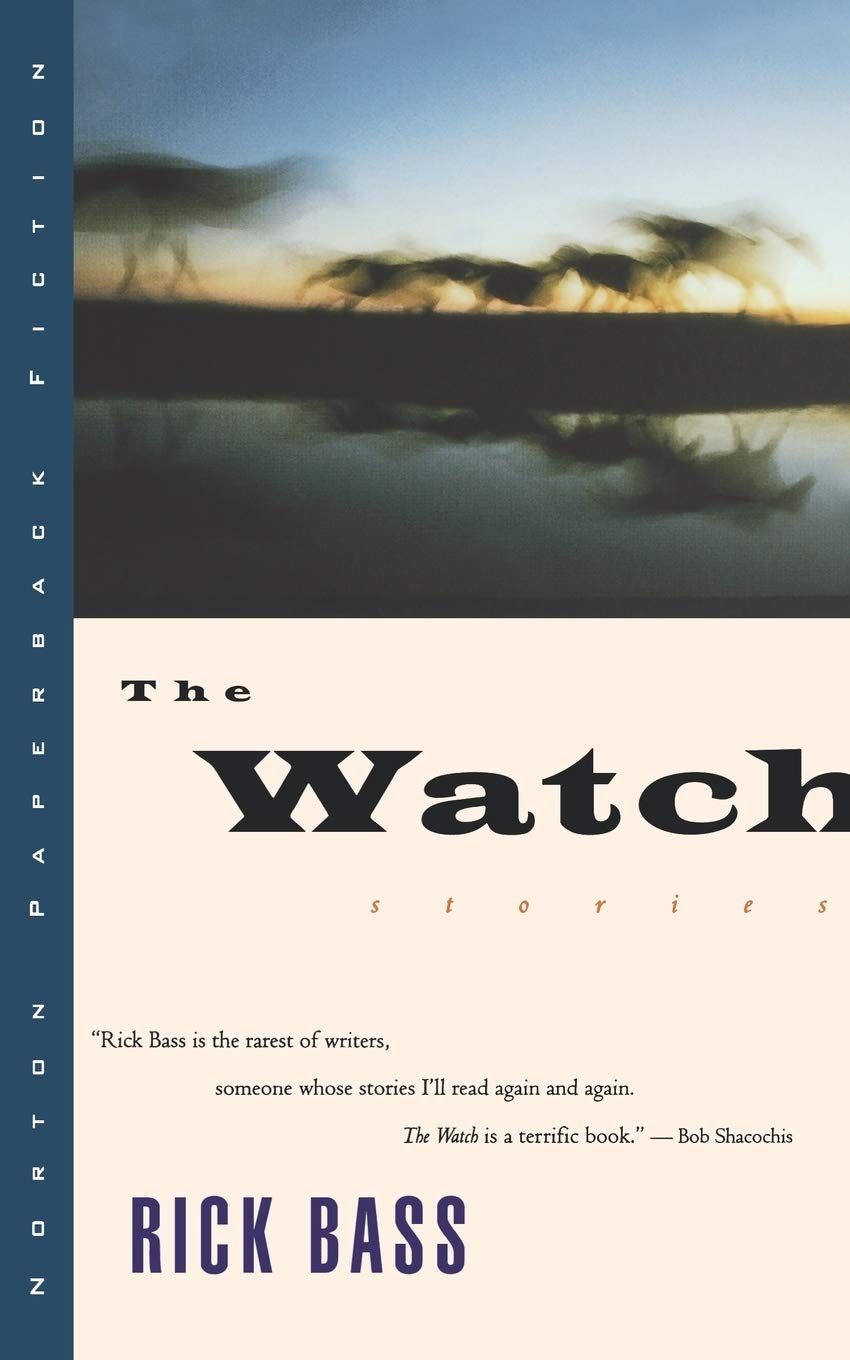 The Watch: Stories (Norton Paperback Fiction) Contemporary literature
