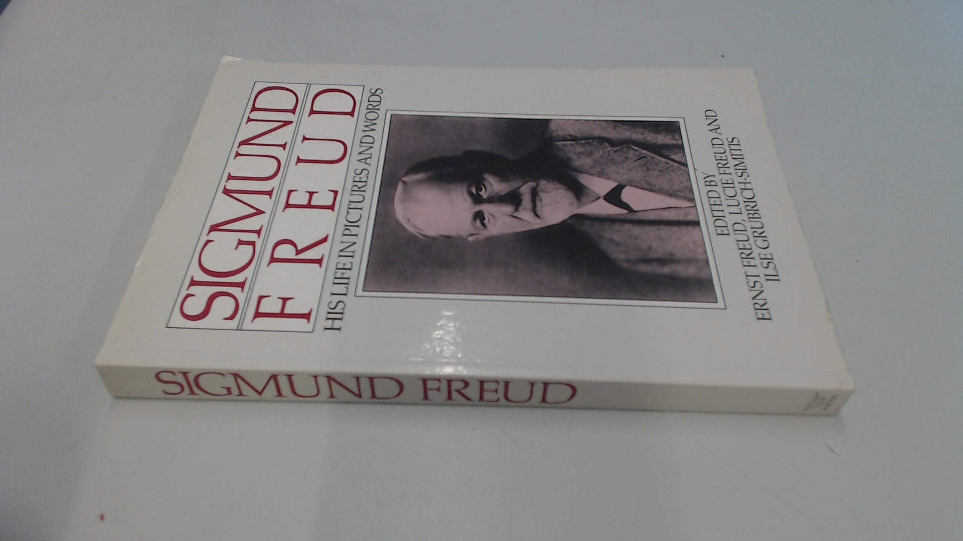 Sigmund Freud: His Life in Pictures and Words Memories