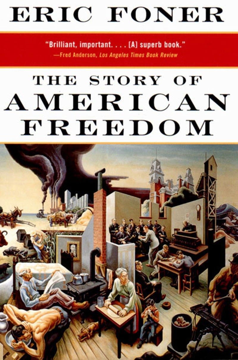 The Story of American Freedom (Norton Paperback) Social Sciences