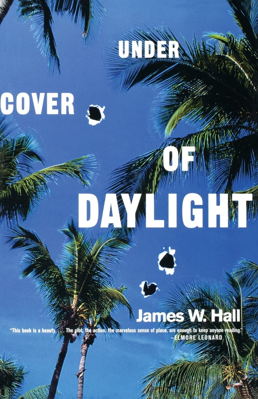 Under Cover of Daylight book
