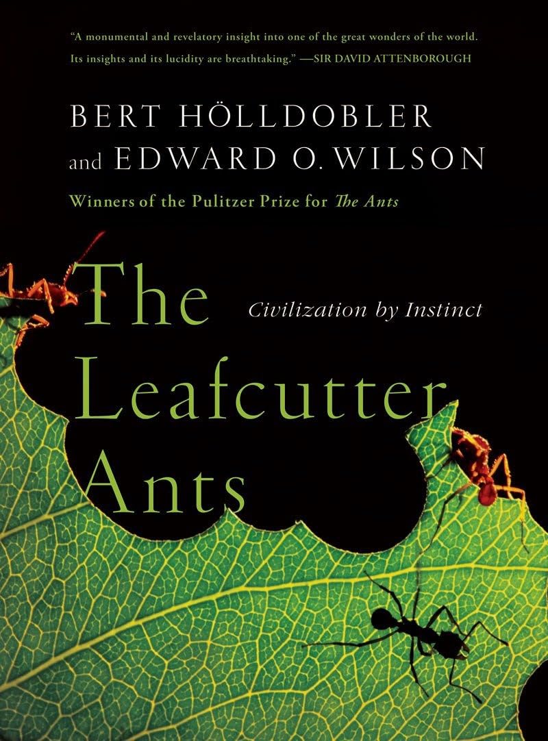 The Leafcutter Ants Mathematics Books