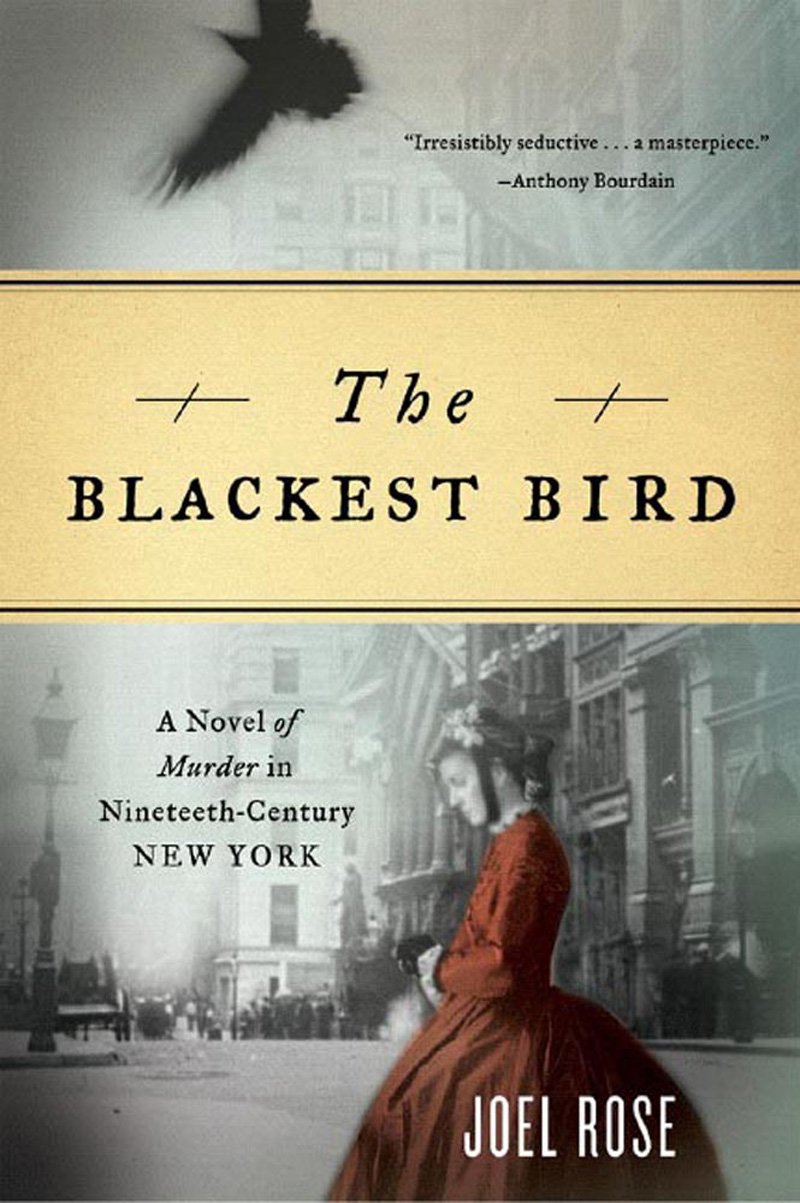 The Blackest Bird: A Novel of Murder in Nineteenth-Century New York Books