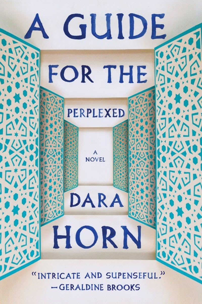 A Guide for the Perplexed: A Novel Contemporary literature