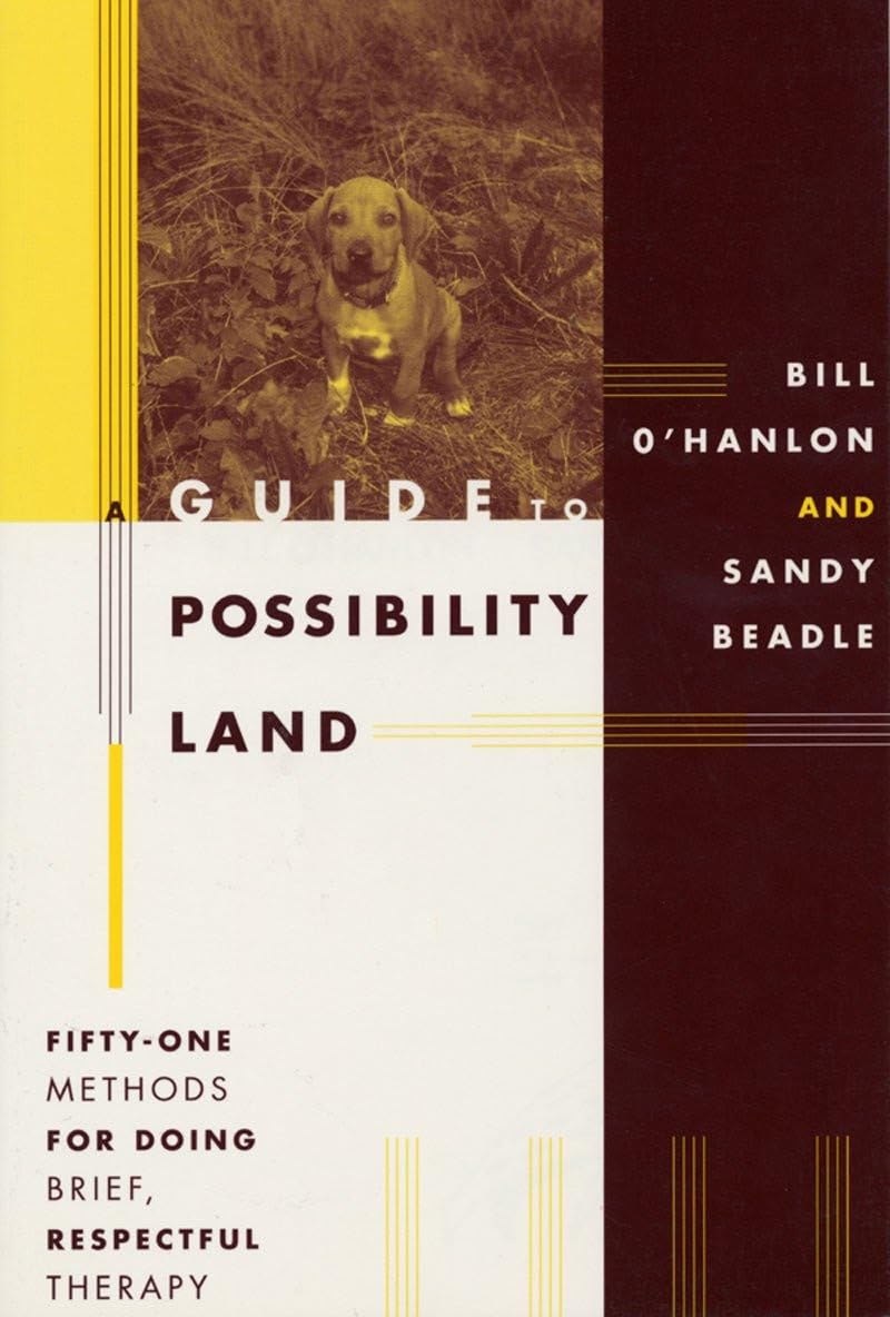 A Guide to Possibility Land: Fifty-one Methods for Doing Brief, Respectful Therapy book