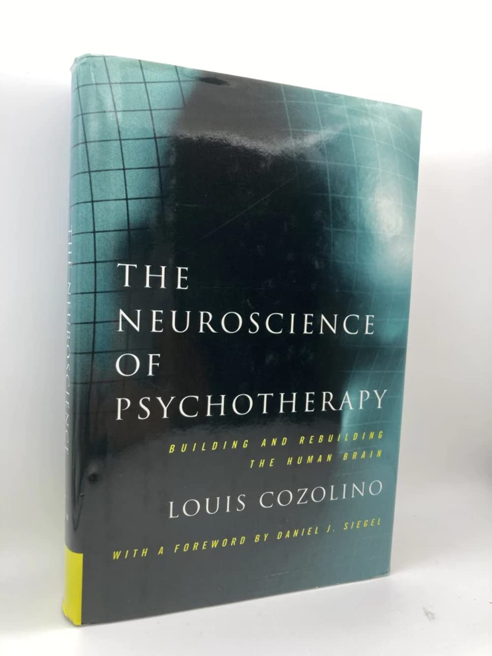 The Neuroscience of Psychotherapy: Building and Rebuilding the Human Brain (Norton Series on Interpersonal Neurobiology) Medicine