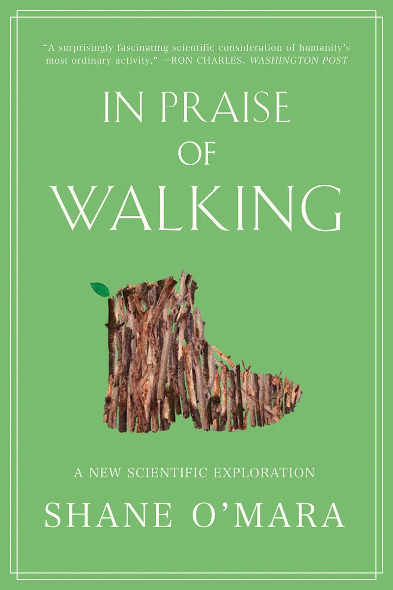 In Praise of Walking Medicine