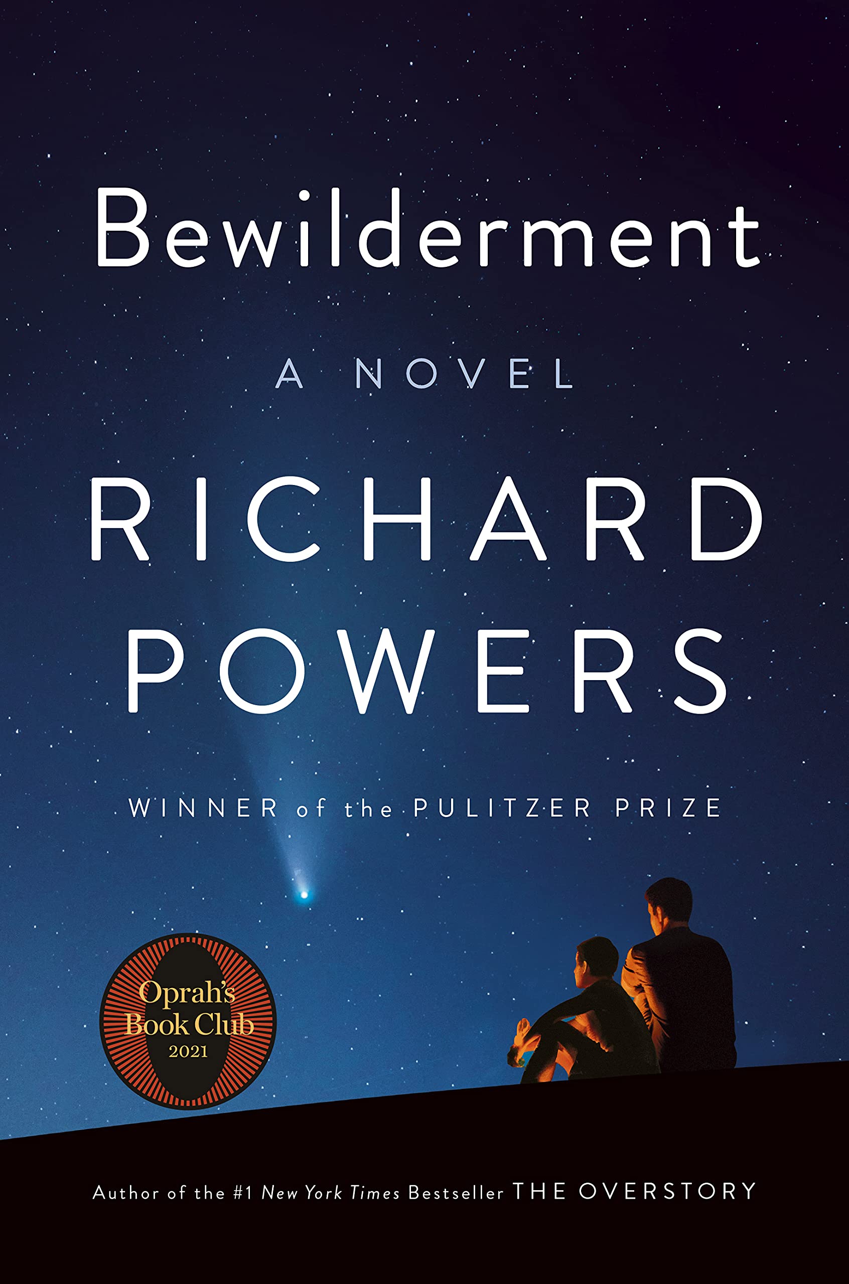 Bewilderment Contemporary literature Books
