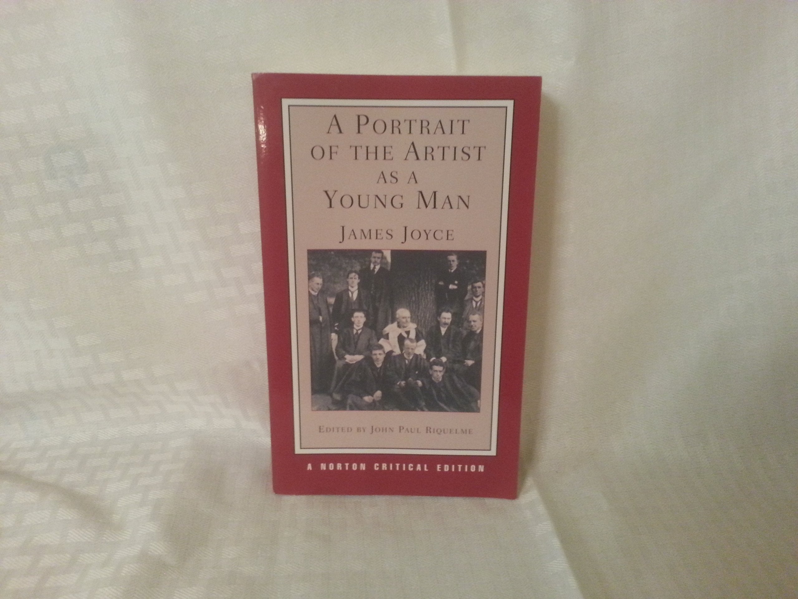 A Portrait of the Artist as a Young Man (Norton Critical Editions, Band 0) Contemporary literature