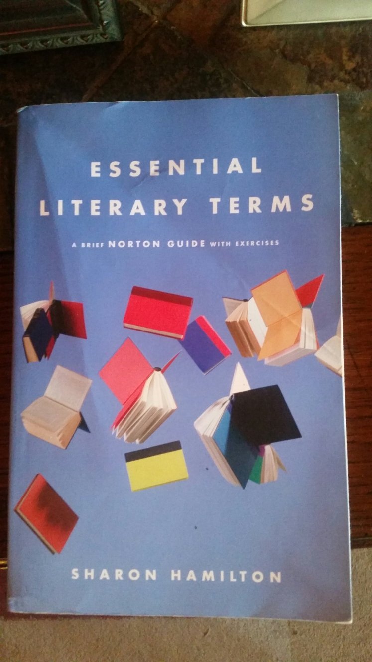 Essential Literary Terms: A Brief Norton Guide With Exercises Contemporary literature