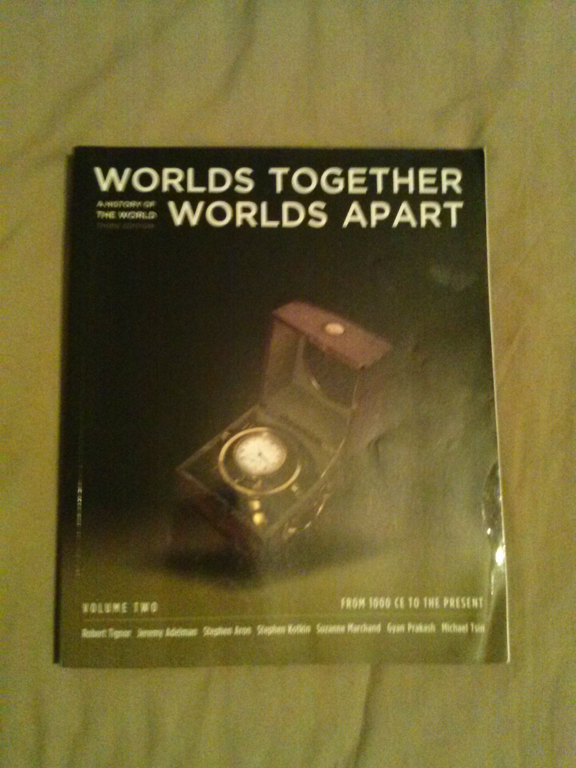Worlds Together, Worlds Apart: A History of the World: From 1000 CE to the Present Politics & History
