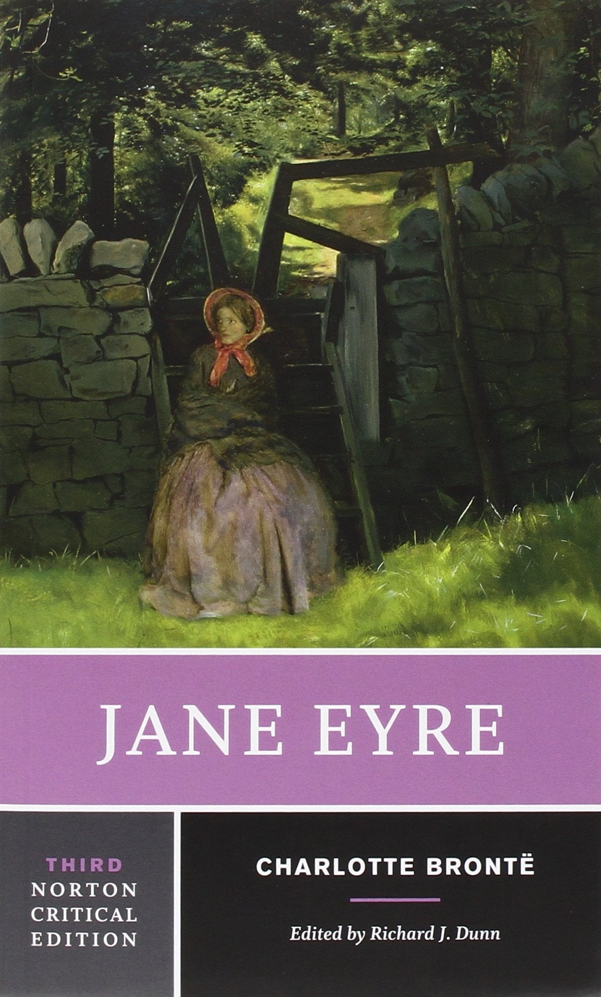 Jane Eyre (Norton Critical Editions, Band 0) Classics