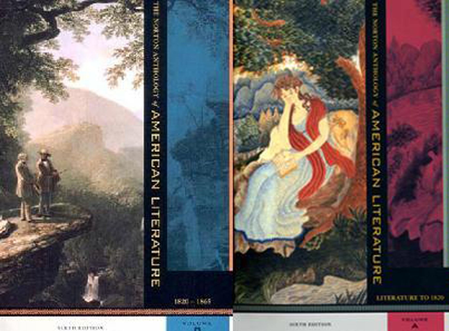 The Norton Anthology of American Literature: Package 1: Literature to 1865, 2 volumes Contemporary literature Books