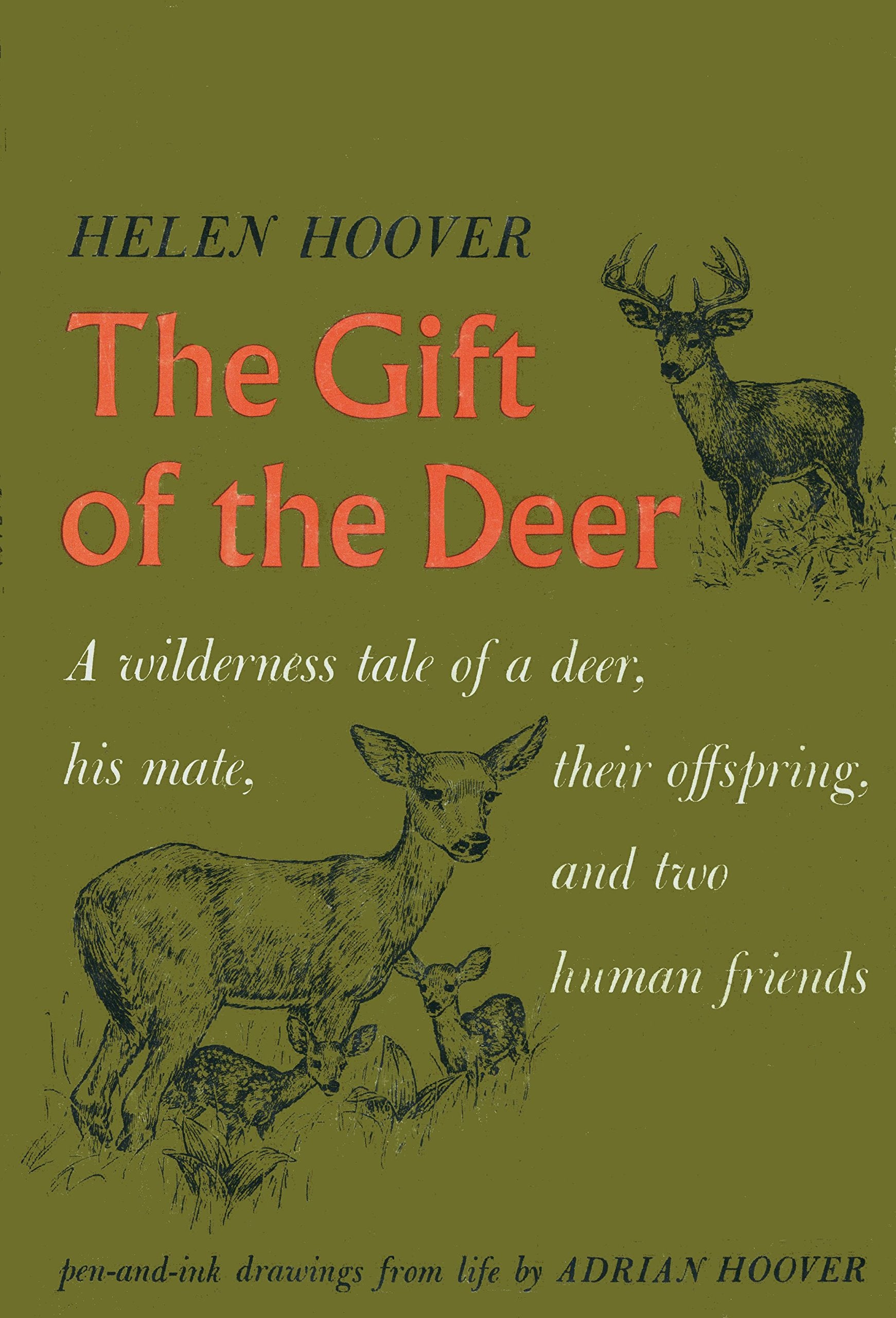 The Gift of the Deer Mathematics