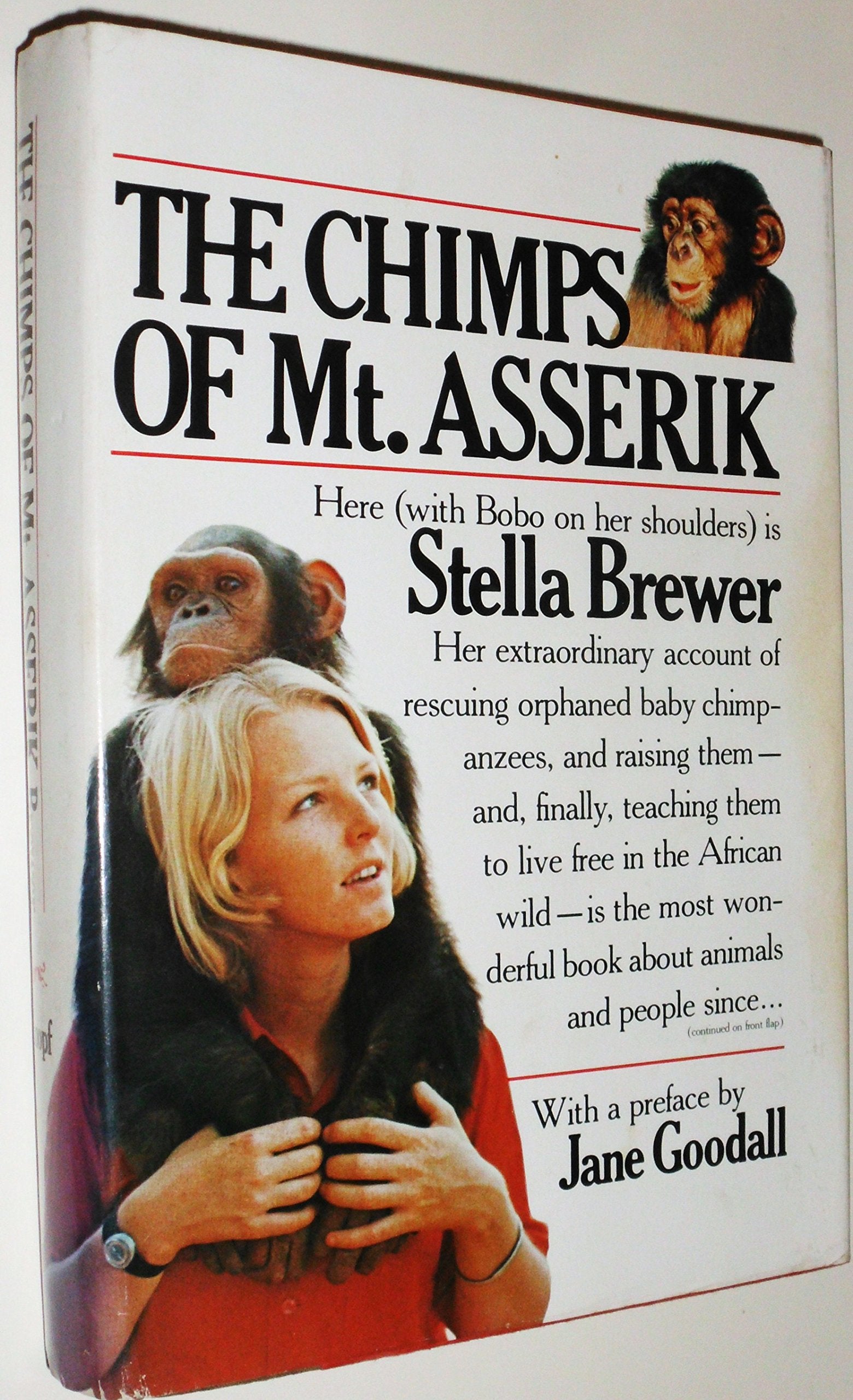 The chimps of Mt. Asserik Books