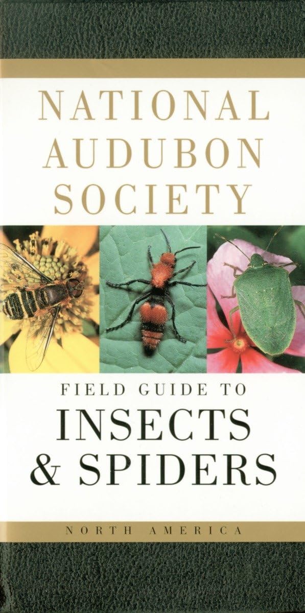 National Audubon Society Field Guide to Insects and Spiders: North America book