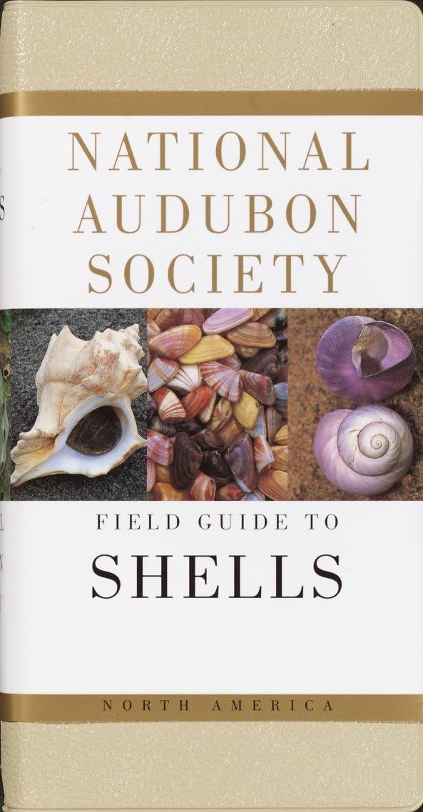 National Audubon Society Field Guide to North American Seashells book