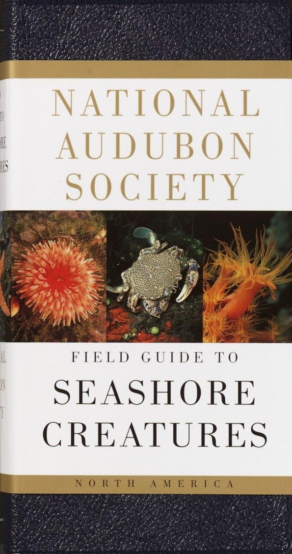 National Audubon Society Field Guide to Seashore Creatures: North America (National Audubon Society Field Guides) Geology & Geography