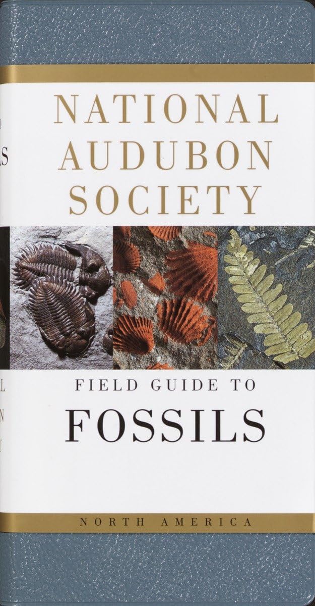 National Audubon Society Field Guide to Fossils Mathematics
