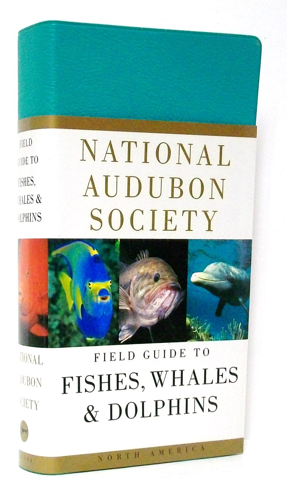 National Audubon Society Field Guide to North American Fishes, Whales, and Dolphins (The Audubon Society Field Guide Series) Business & Technology