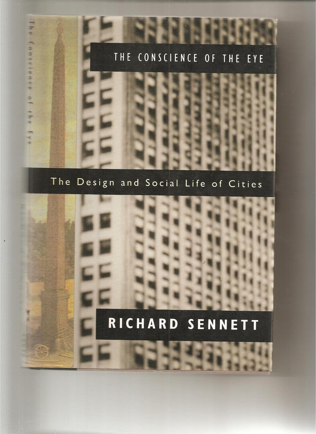 The Conscience of the Eye: The Design and Social Life of Cities Social Sciences