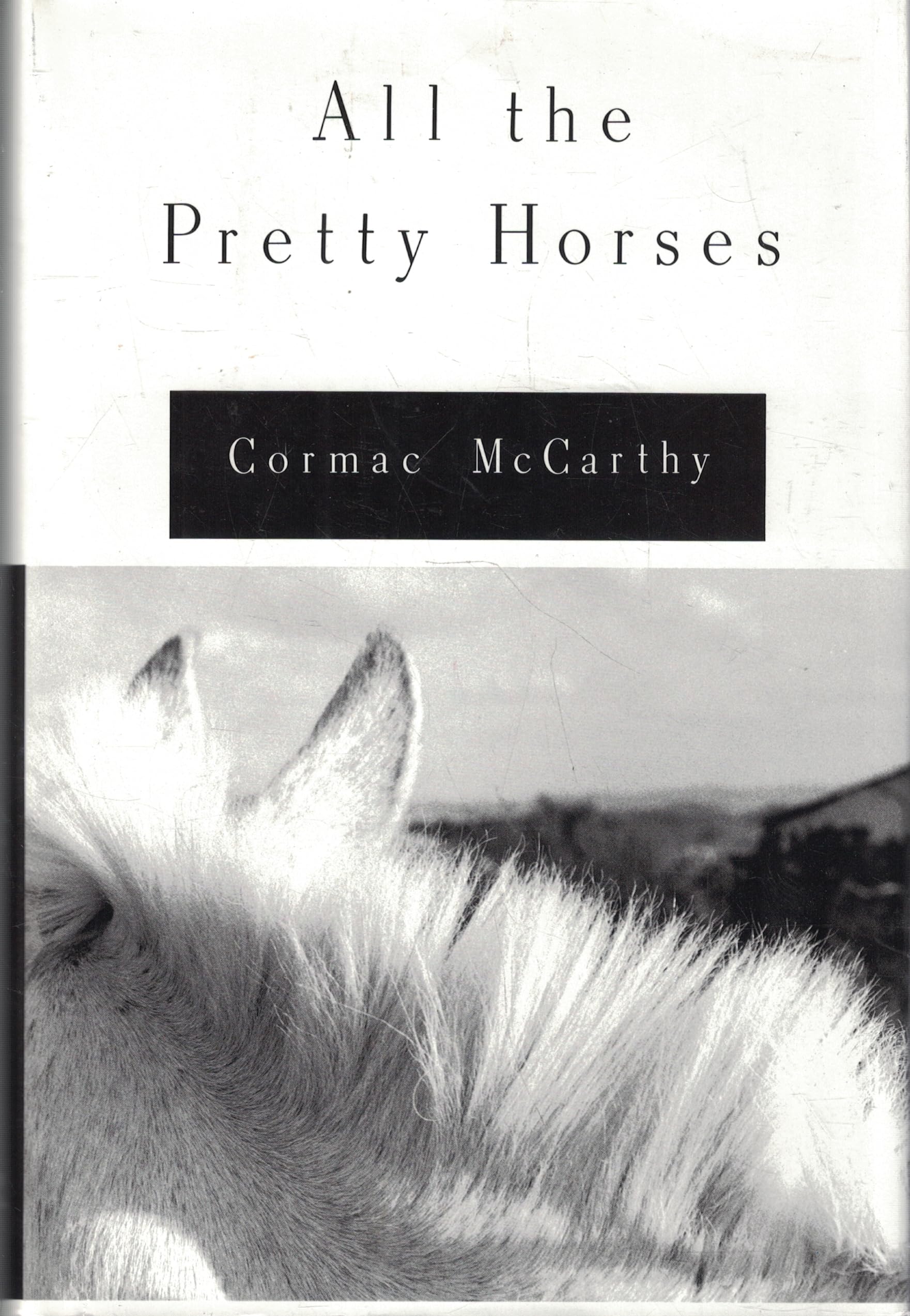All the Pretty Horses (The Border Trilogy, Band 1) Contemporary literature