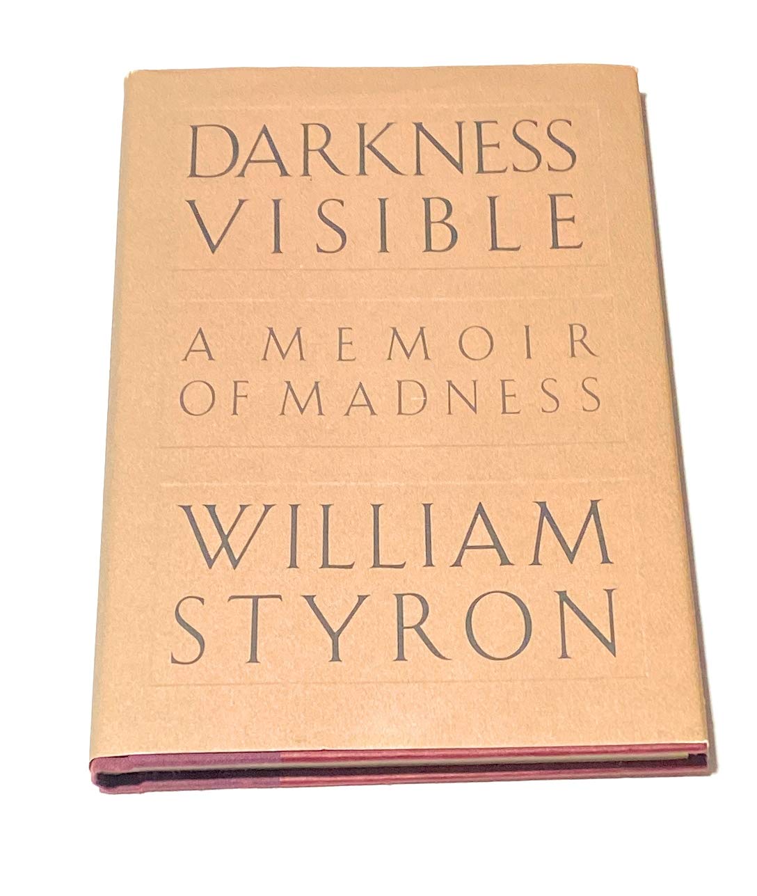 Darkness Visible: A Memoir of Madness Contemporary literature