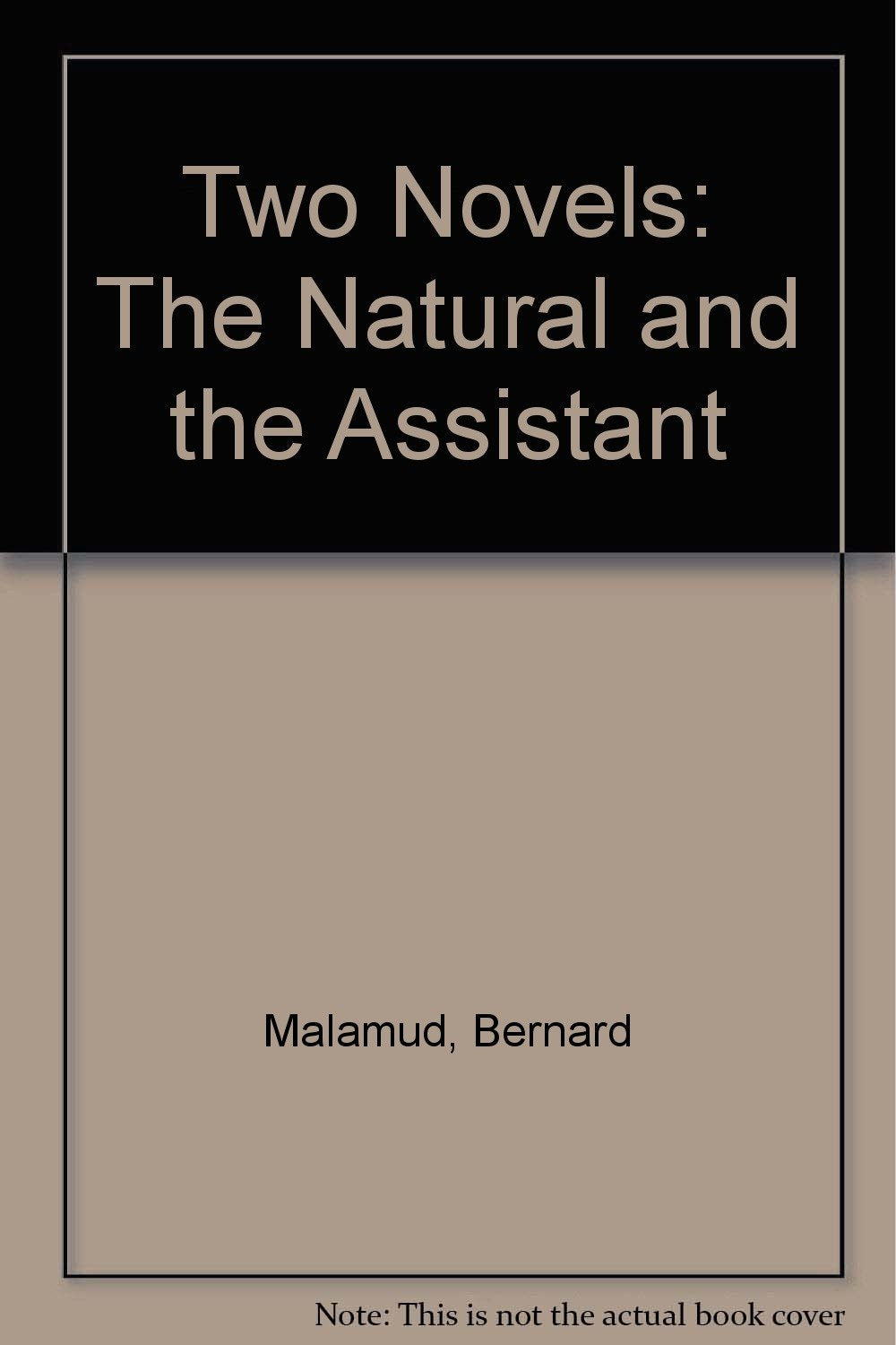 Two Novels: The Natural and the Assistant Books