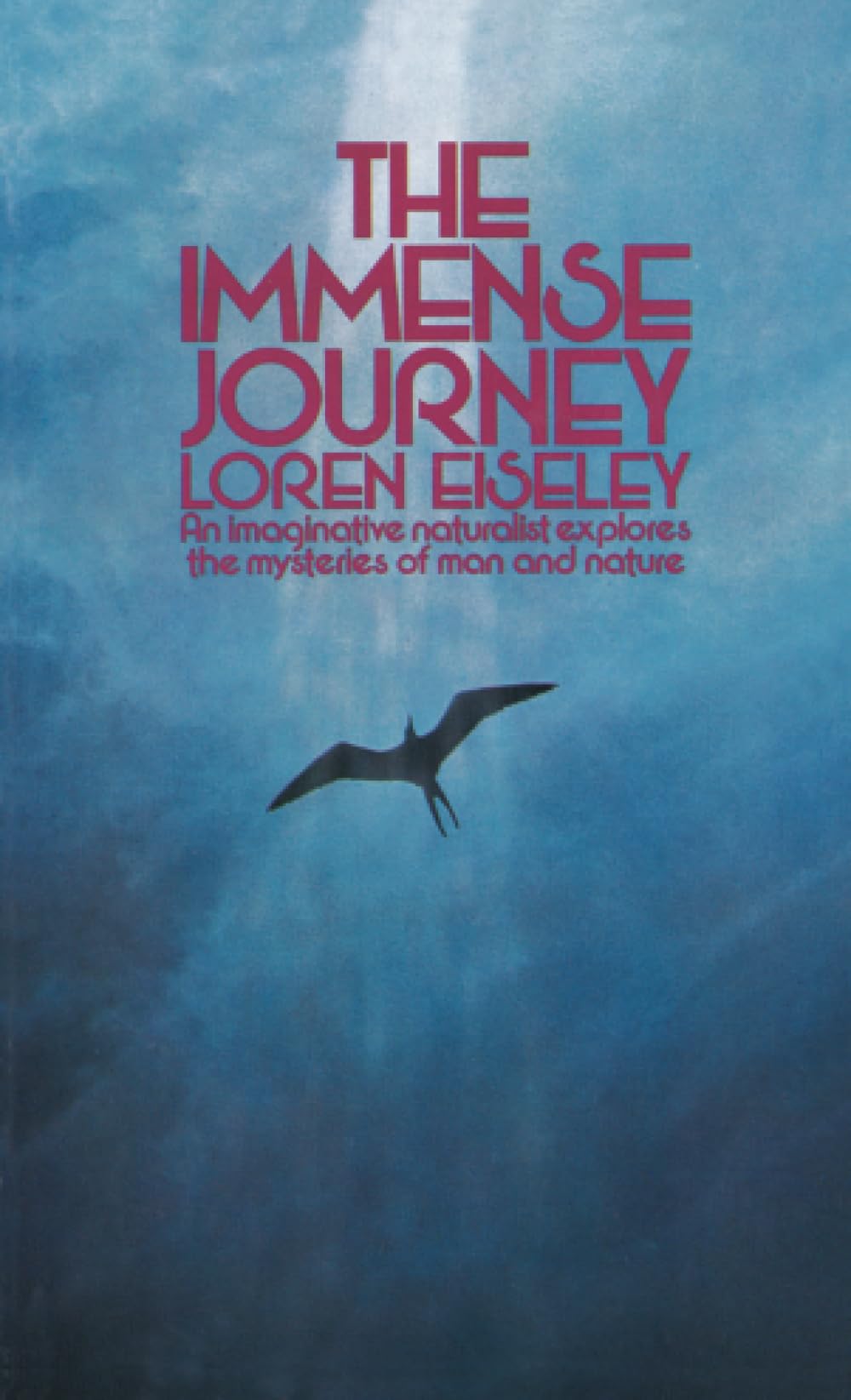 Product Image: The Immense Journey
