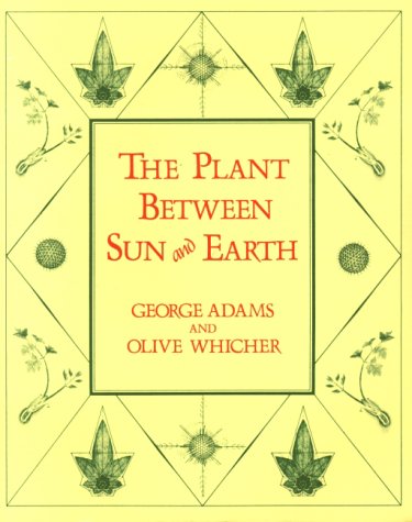 The Plant Between Sun and Earth, and the Science of Physical and Ethereal Spaces Business & Technology
